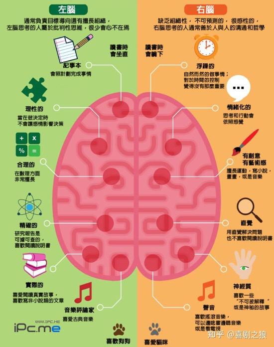 你的右脑发达吗?_右脑发达的害处多_发达的右脑