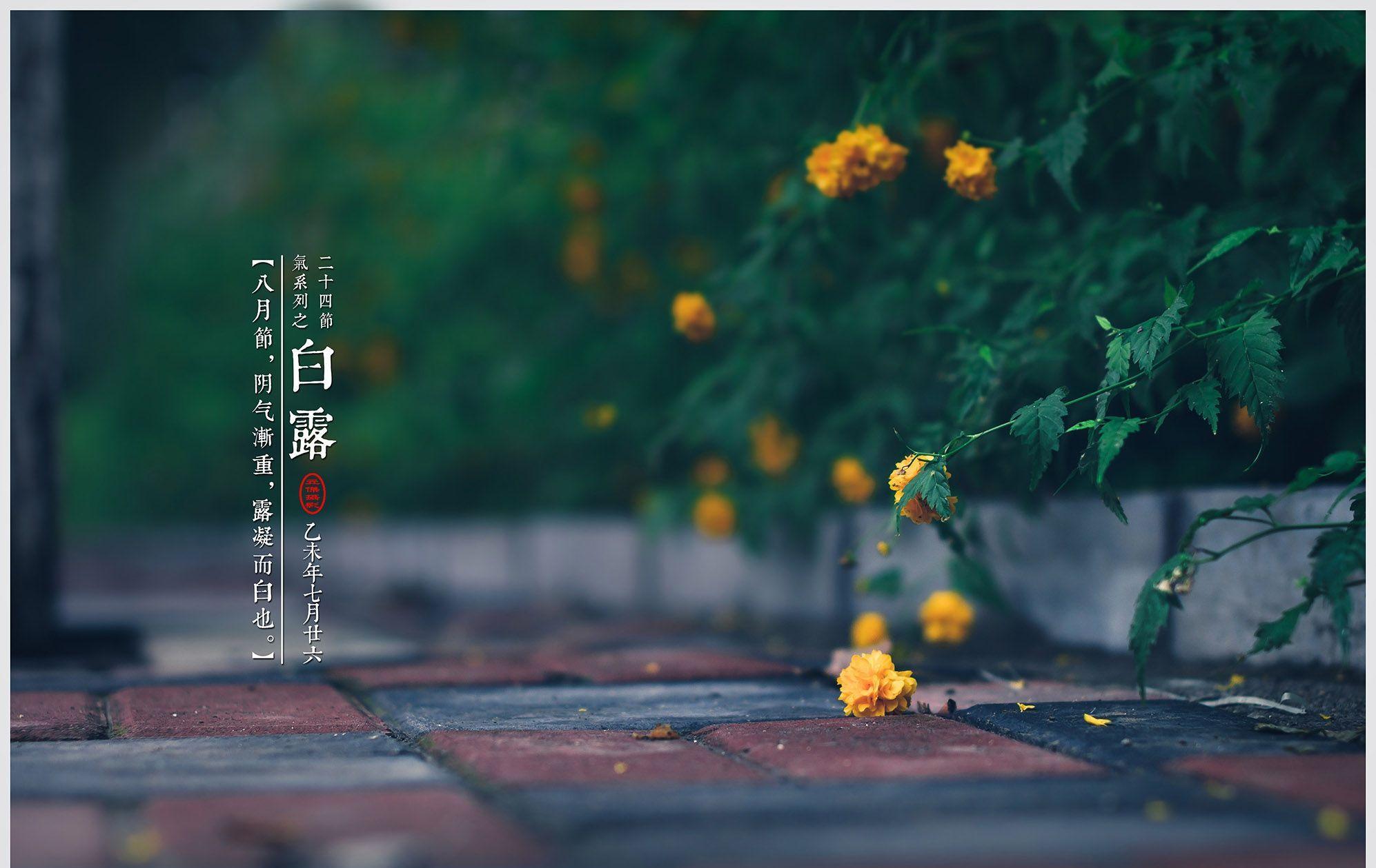 僵尸大亨中文版下载破解版_僵尸大亨中文版手机下载_僵尸大亨2中文版