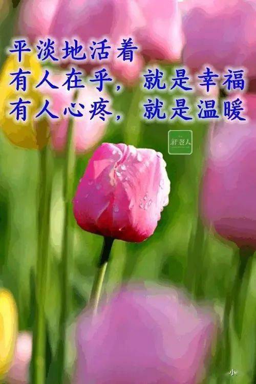 情归故里 下载_情归故里一词的意思_故里情的意思