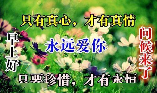 故里情的意思_情归故里 下载_情归故里一词的意思