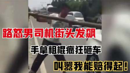 关于狗眼看低人的视频_狗眼看人低砸车视频完整版_狗眼看人低砸车的视频