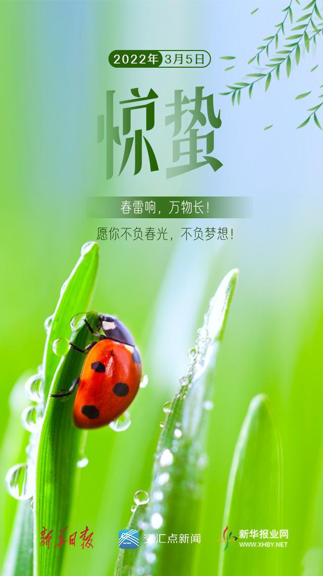 重庆妖气山互动科技有限公司_妖气山直播_直播妖怪日常[聊斋]