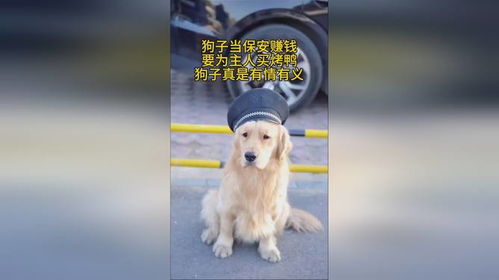 橘子交友手机最新版 