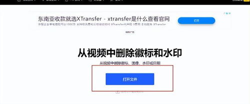 爆款来了 