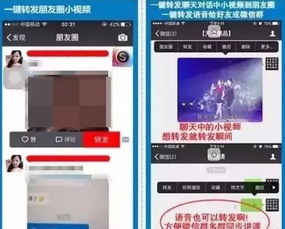 蛋里有什么 