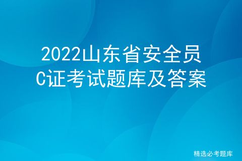 机场安全员模拟器 