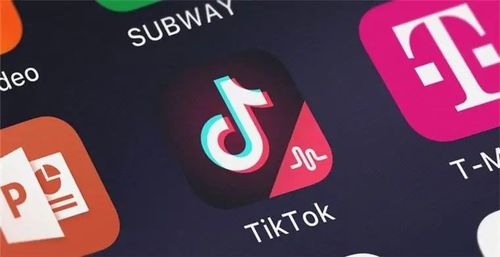 可靠快递完整版中文下载 